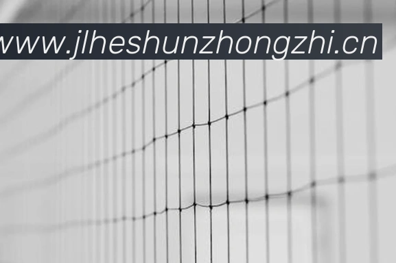 安博官网appAPP 封面图